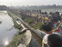 茂名高州市365娱乐_bat365在线登录_sportcar365组织青少年开展社会主义核心价值观教育实践活动